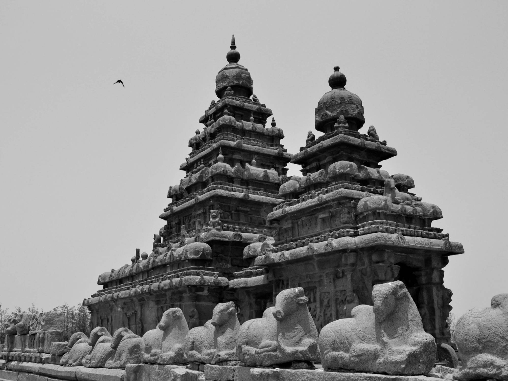 Sea Breeze Beach Resort Mahabalipuram Zewnętrze zdjęcie